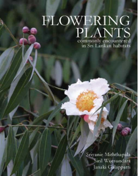 Flowering Plants Commonly Encountered in Sri Lankan Habitats