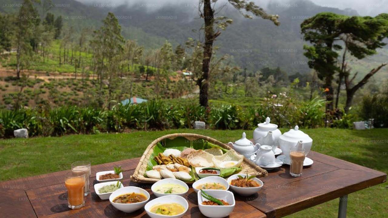 Tea & Experience Factory, Mandaram Nuwara