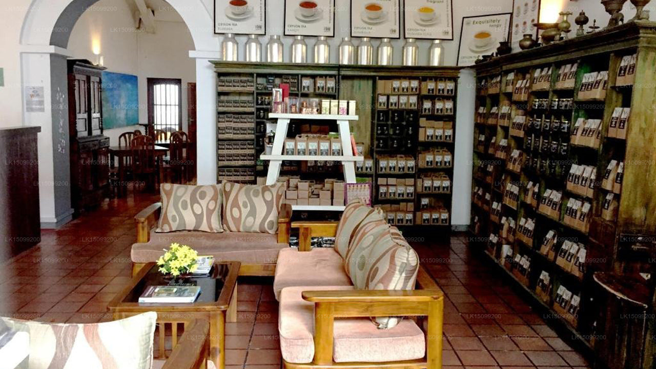 Villa Araliya Fort, Galle