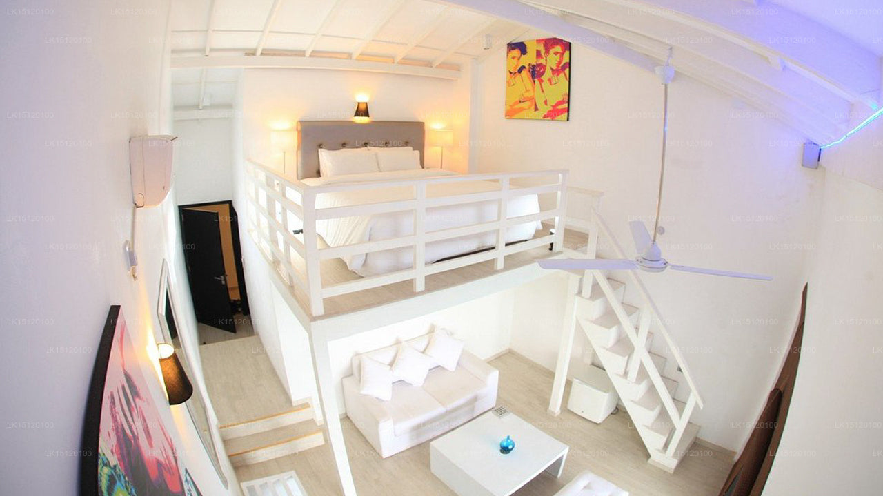 Cantaloupe Aqua, Thalpe