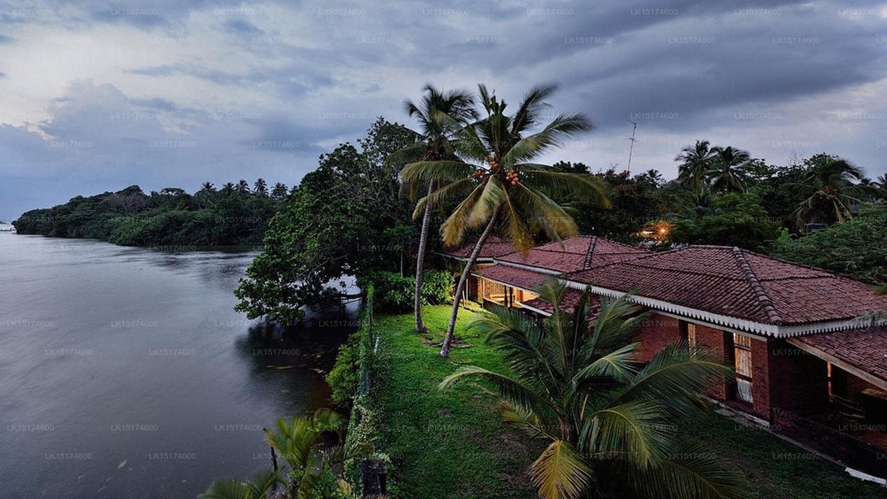House by a body of water with palm trees under a cloudy sky