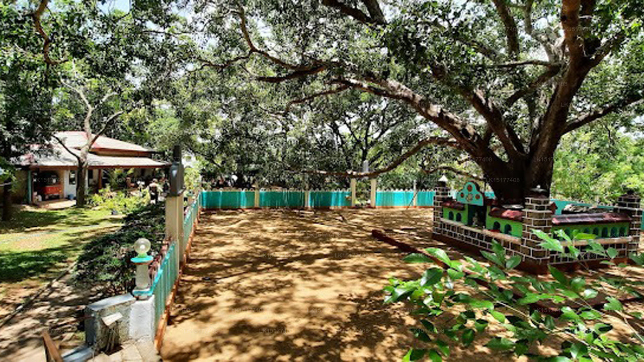 Woodsy Villa, Sigiriya
