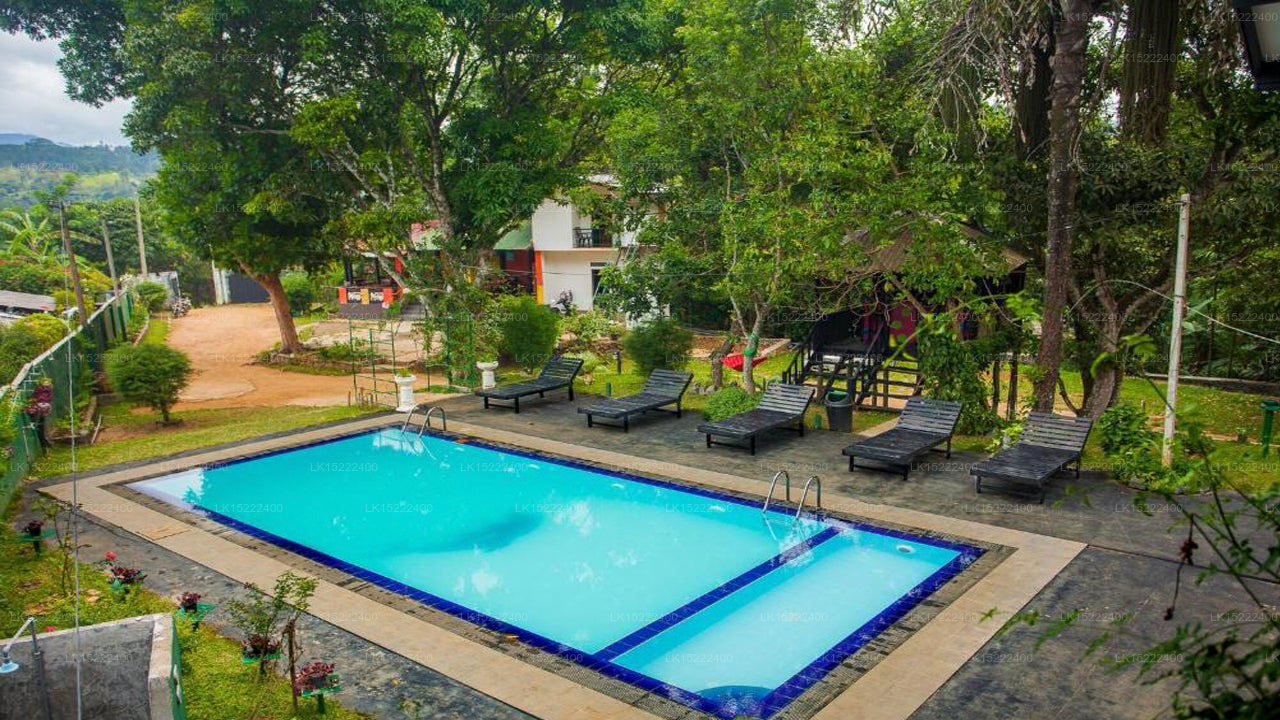 Forest Paradise, Ella