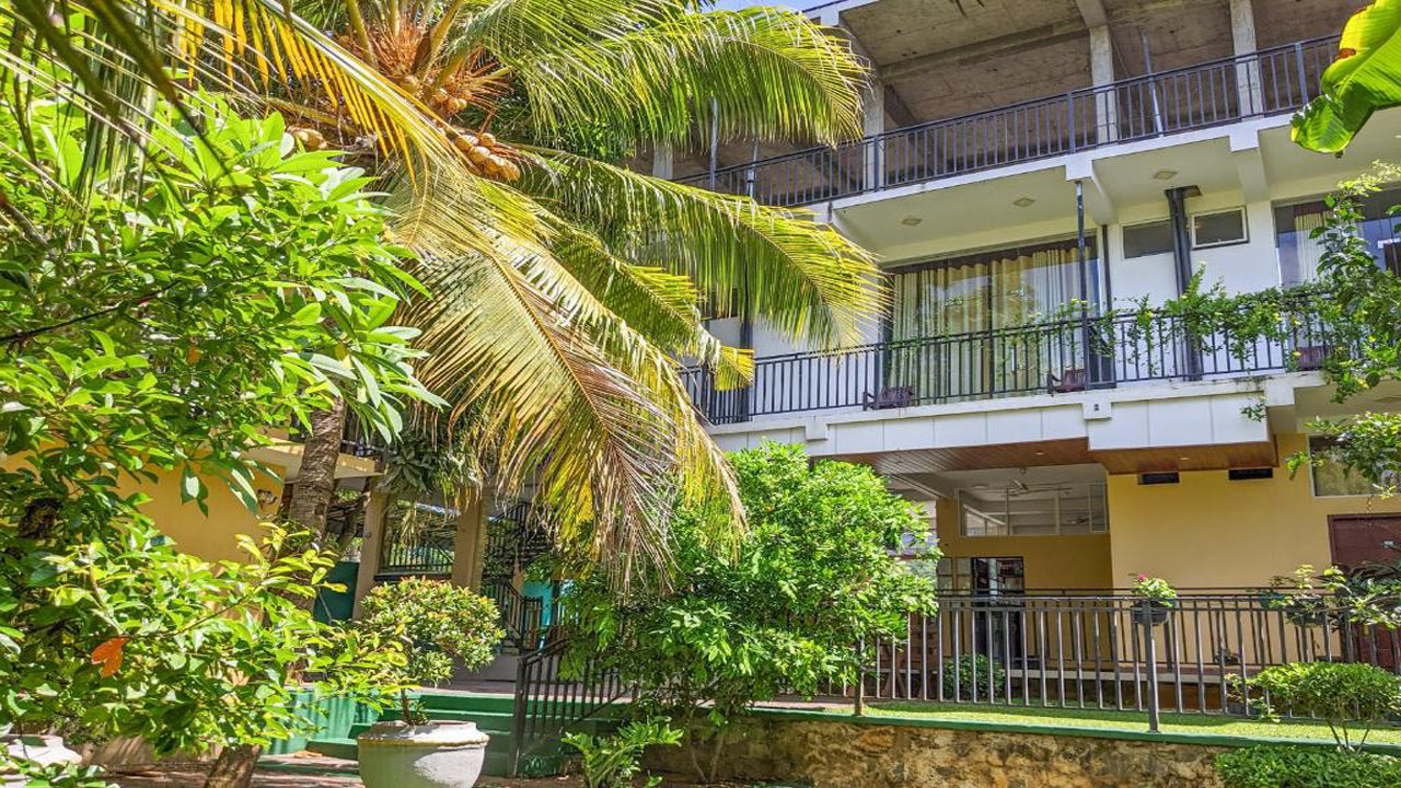 غولدن وايلد يالا، تيساماهاراما