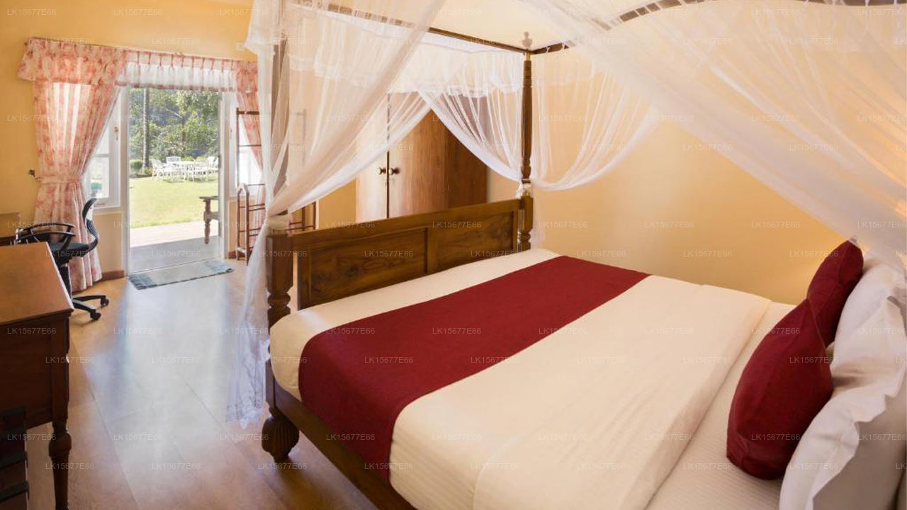 The Oliver Tree Bungalow, Kandy