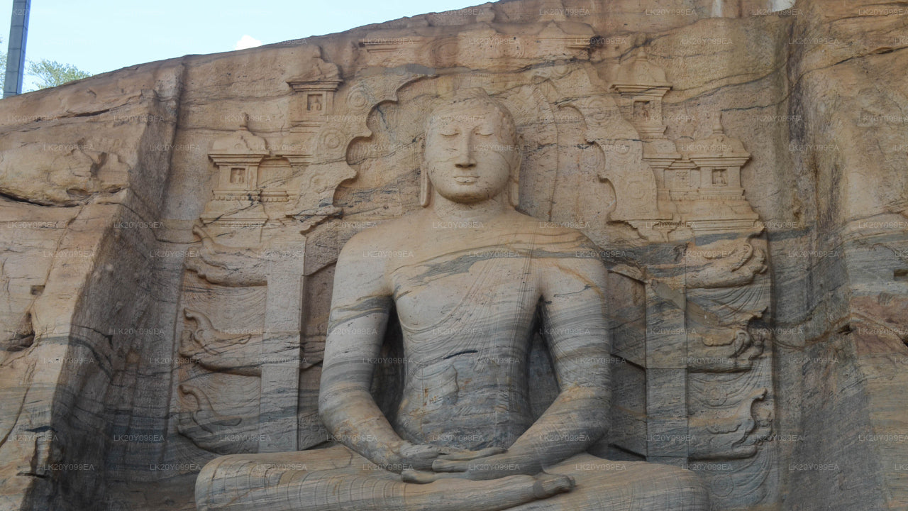 المرشدين المحليين