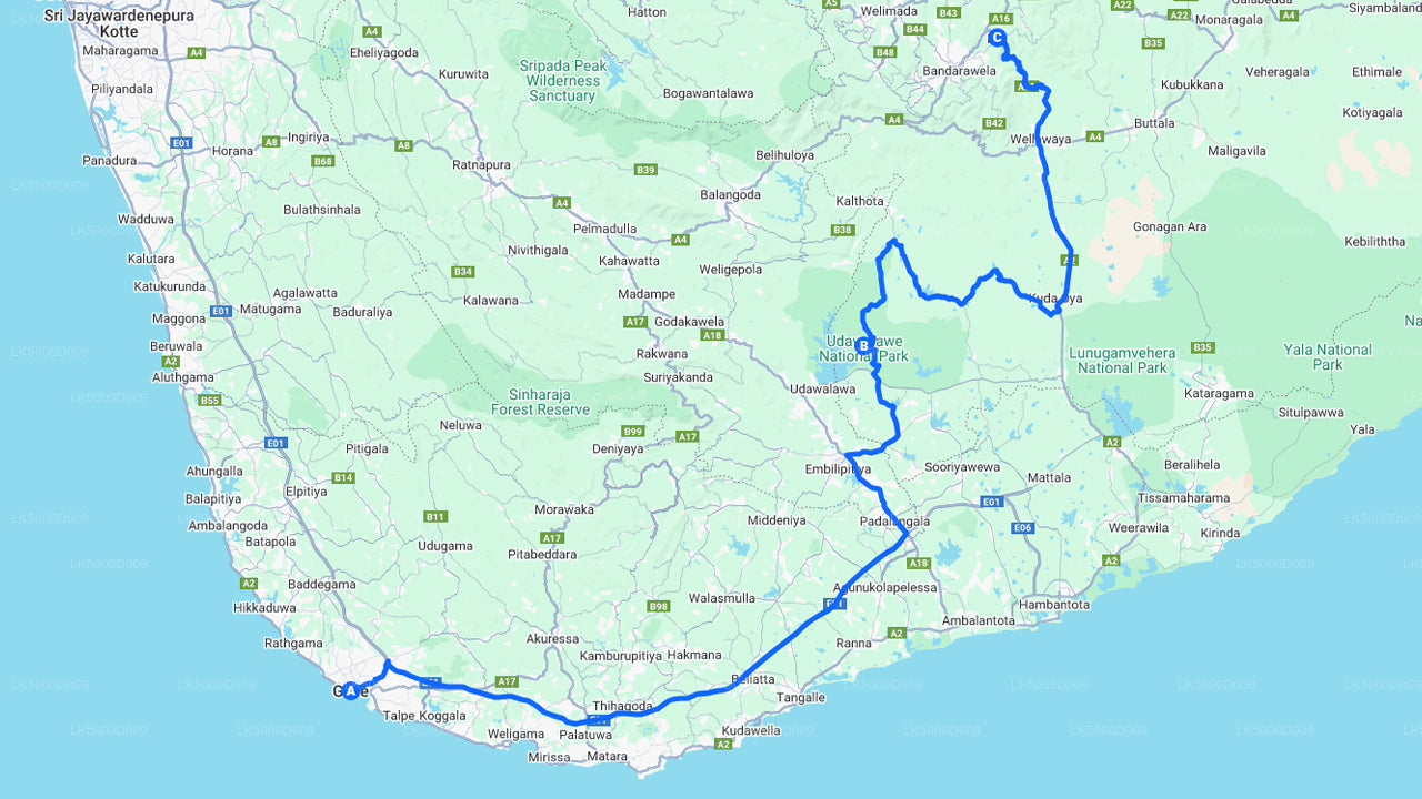 Private Tour from Galle to Ella with Udawalawe Safari