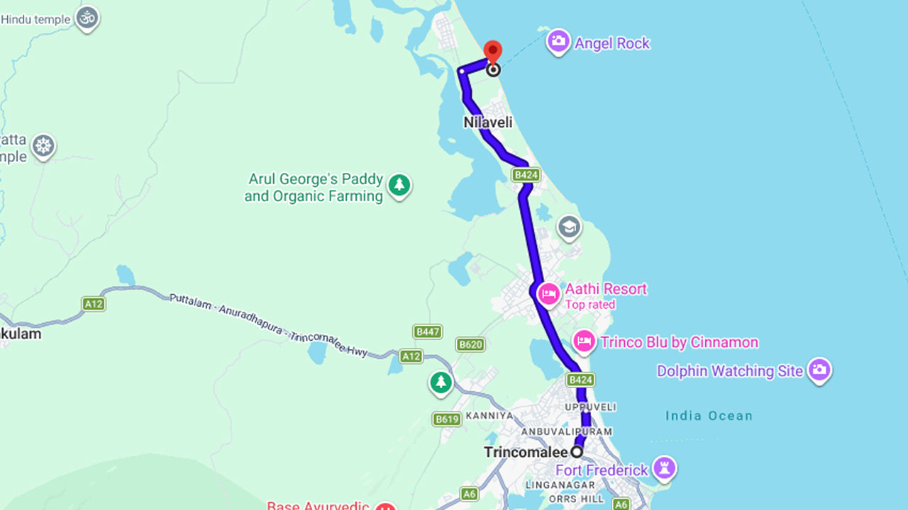 الغطس في جزيرة كورال من ترينكومالي