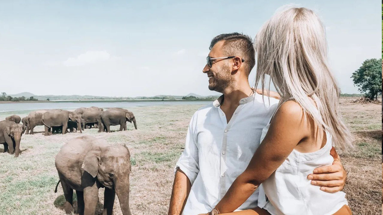 Sigiriya Rock and Wild Elephant Safari from Sigiriya