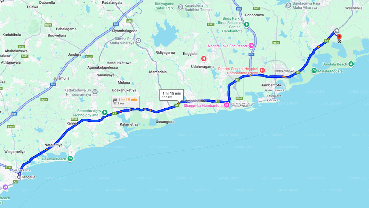 Udawalawe National Park Safari from Ahangama