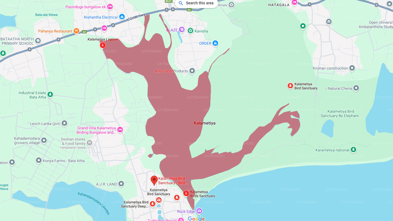 Birdwatching by Boat at Kalametiya Sanctuary