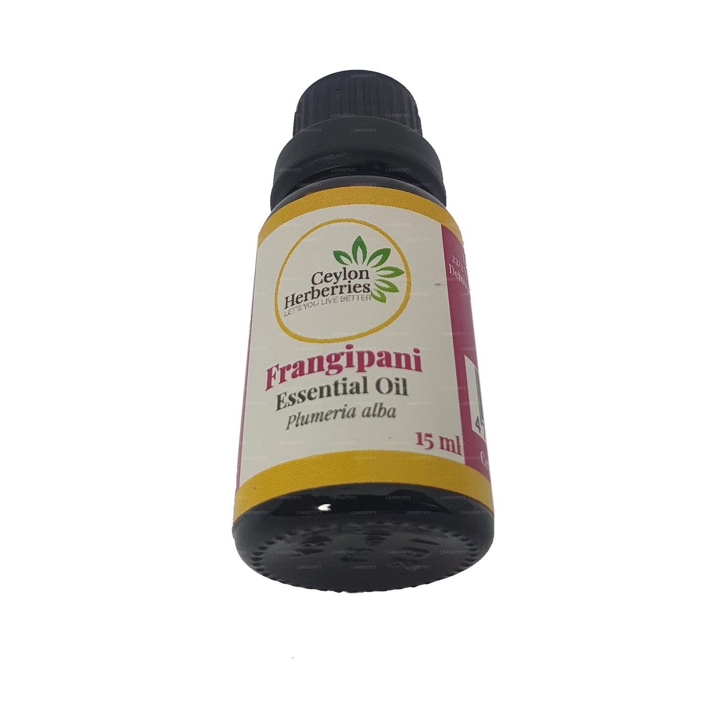 زيت الفرانجيباني العطري بعشب السيلاني (بلوميريا ألبا) 15 مل
