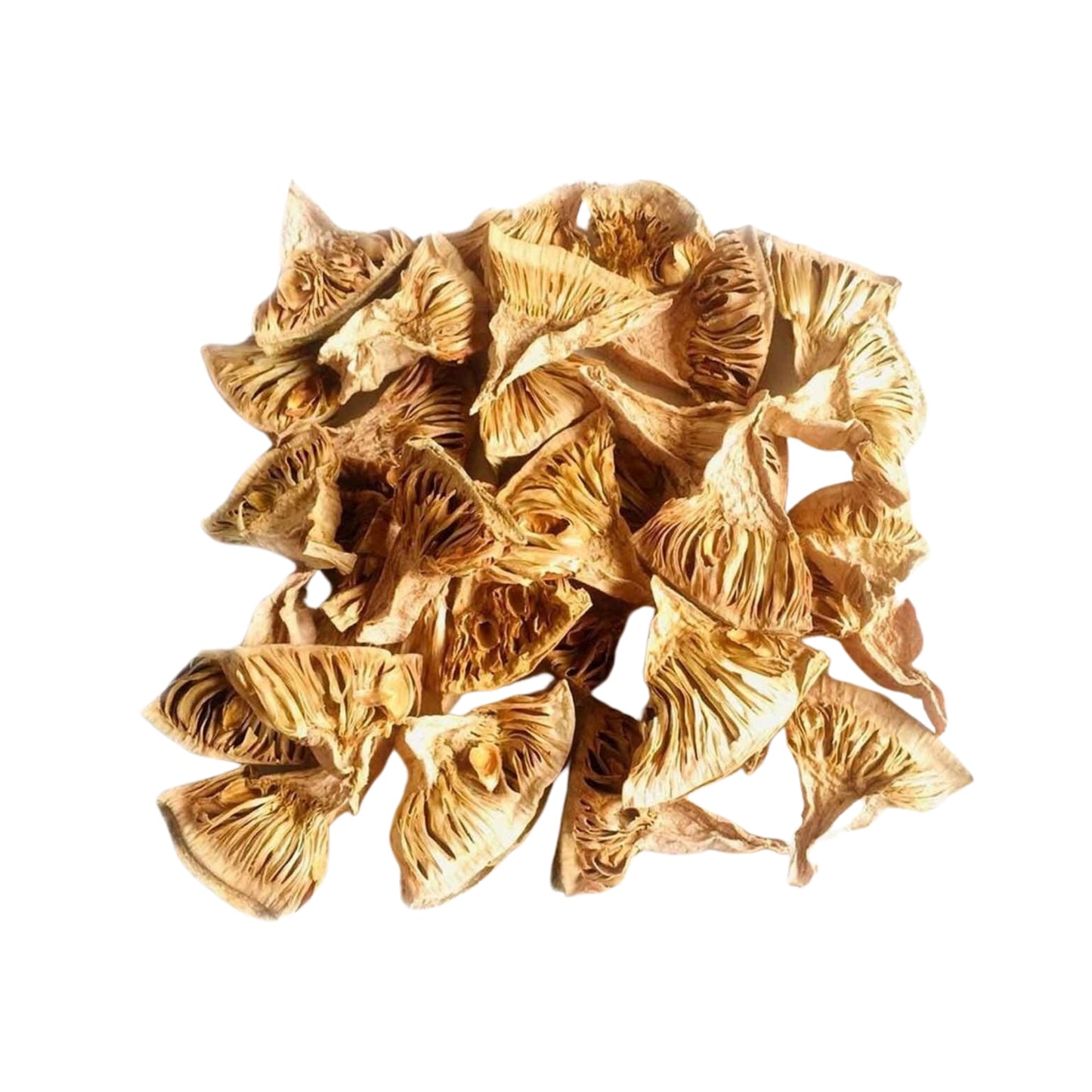 Lakpura Dehydrated Baby Jackfruit Slices