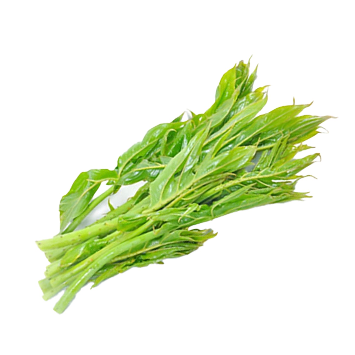 Lakpura Kohila Dalu Leaves