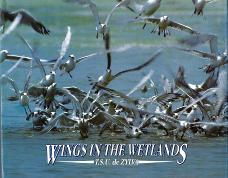 Wings in the Wetlands