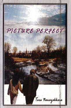 Picture Perfect