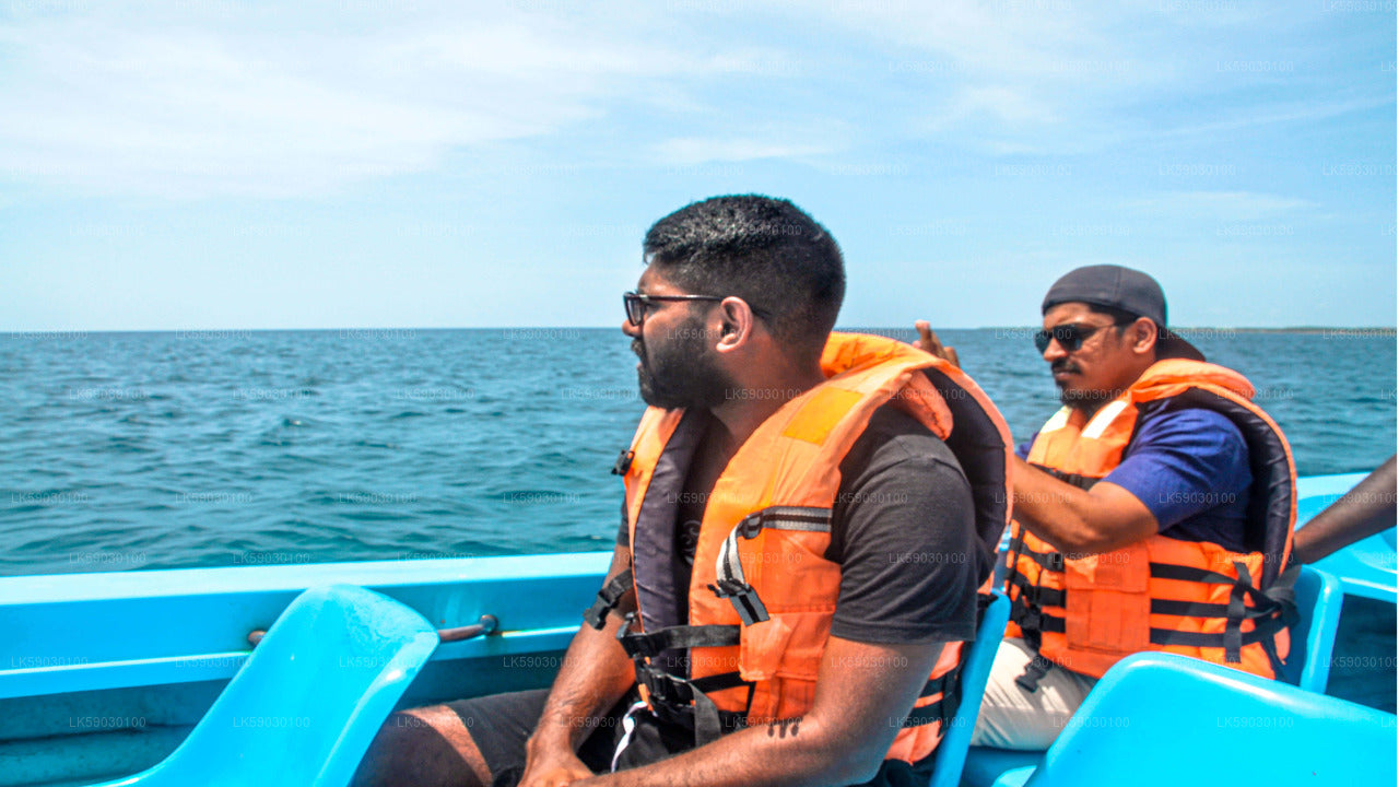 Deep Sea Fishing from Bentota