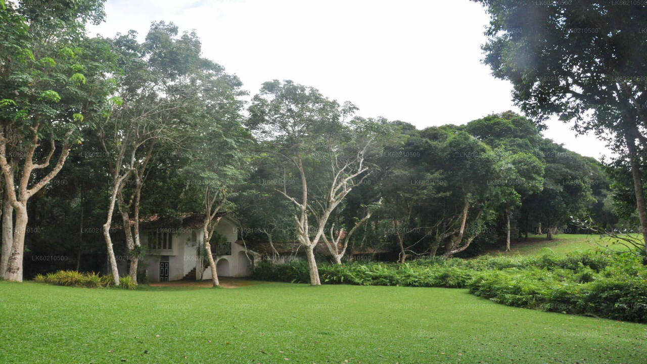 Bentota City Tour from Tangalle