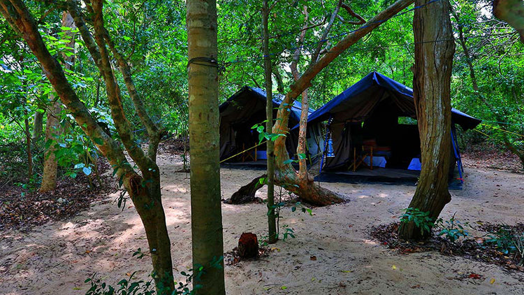 Camping from Kumana National Park