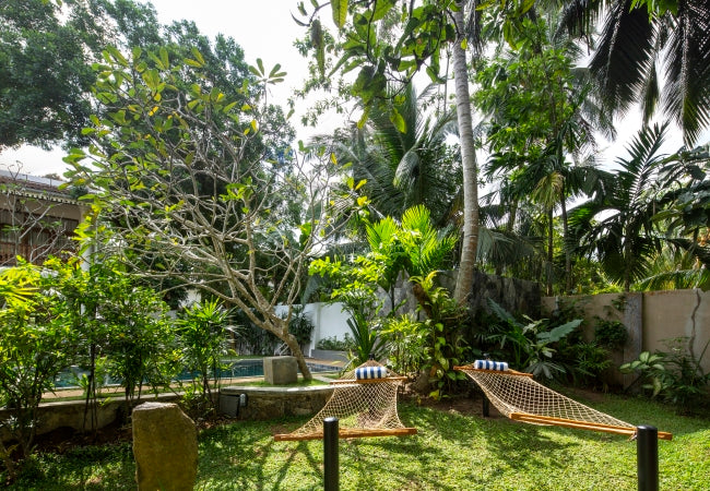 Bilin Tree House, Galle