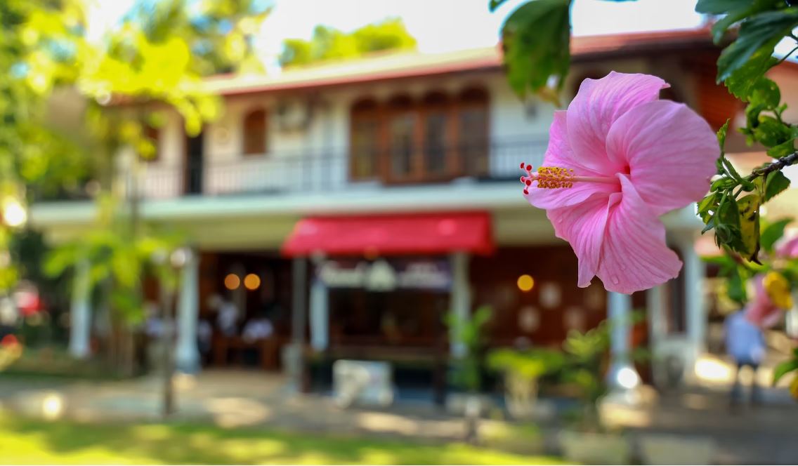 Wisdom Boutique Resort, Kandy