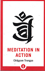 Meditation in Action