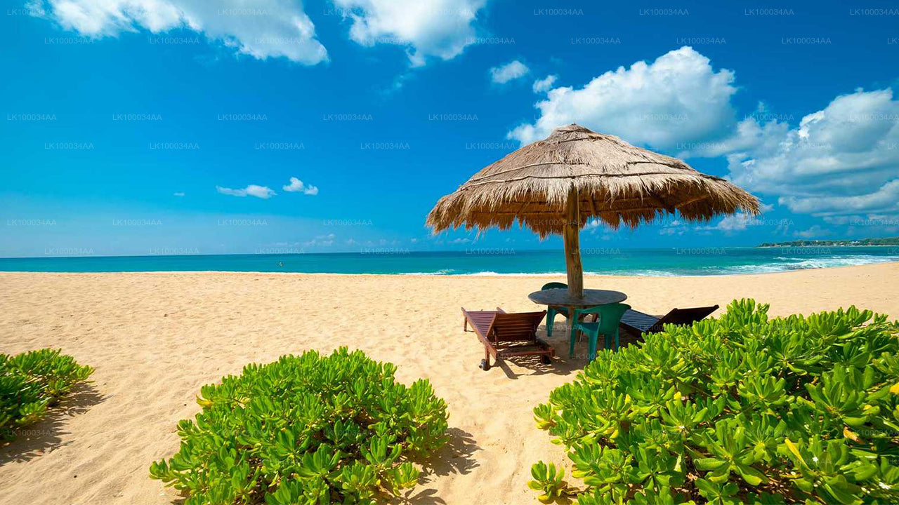 اكتشف سريلانكا مع ماهيش أبيراتني