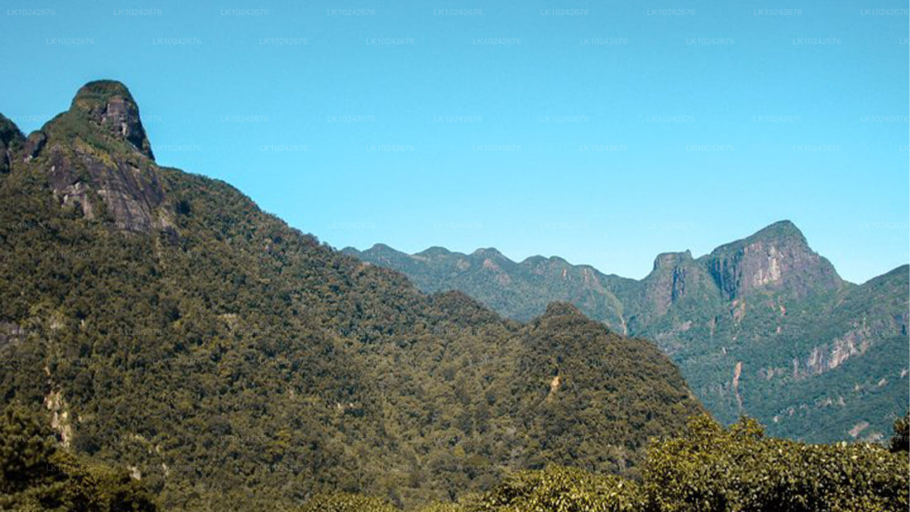 Misty Mountain Trails from Hikkaduwa (2 Days)