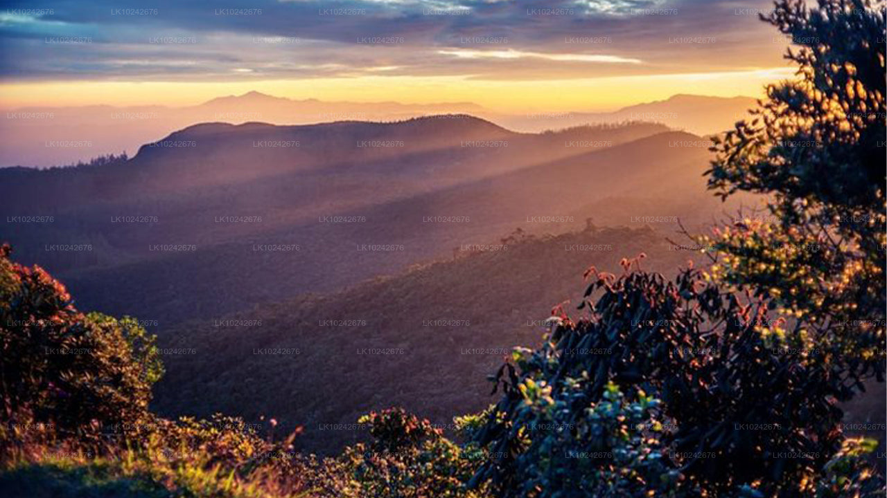 Misty Mountain Trails from Hikkaduwa (2 Days)