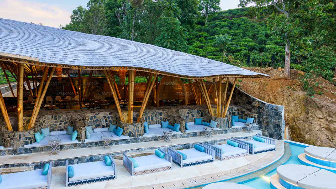 Outdoor lounge and poolside area with bamboo-roofed pavilion surrounded by lush greenery at a luxury resort.