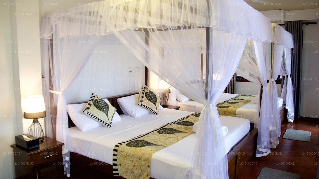 جلامور ميريسا