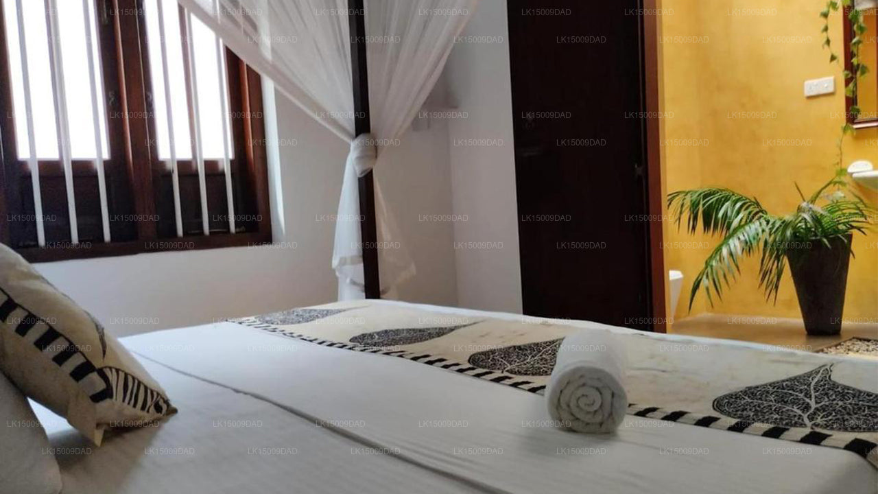 جلامور ميريسا