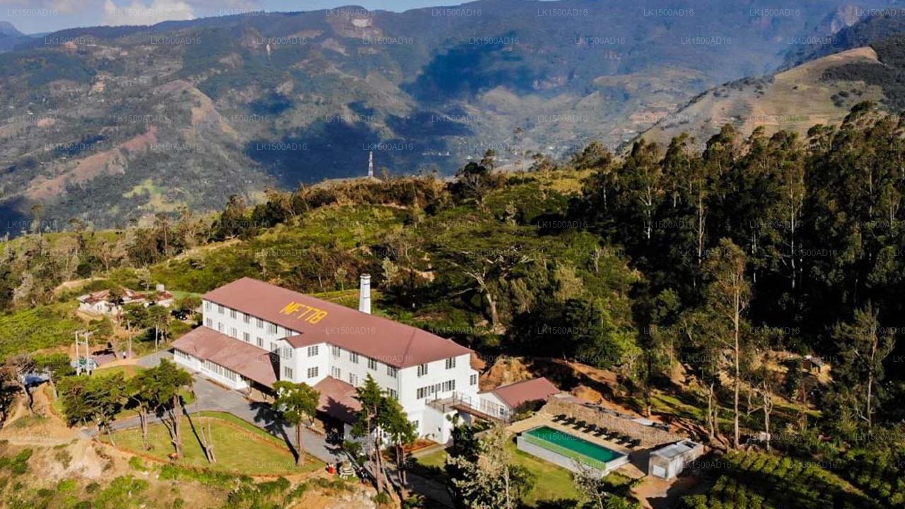 Tea & Experience Factory, Mandaram Nuwara
