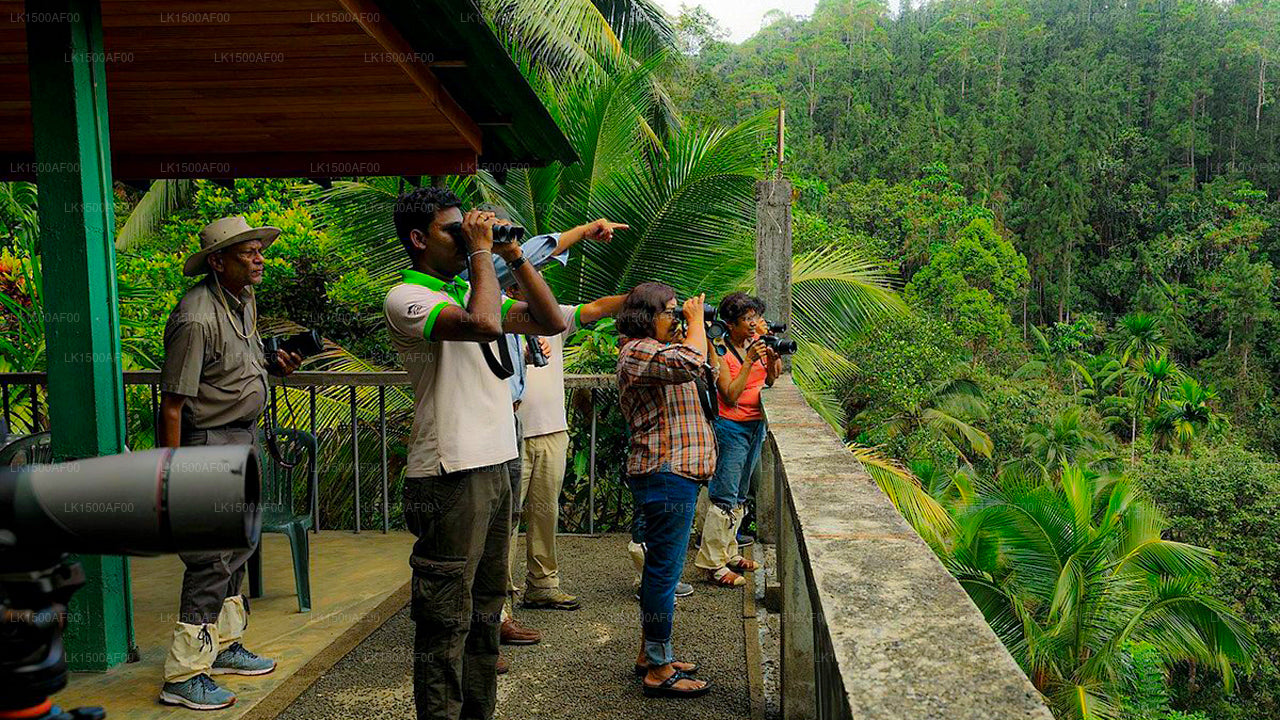 Martin's Lodge, Sinharaja
