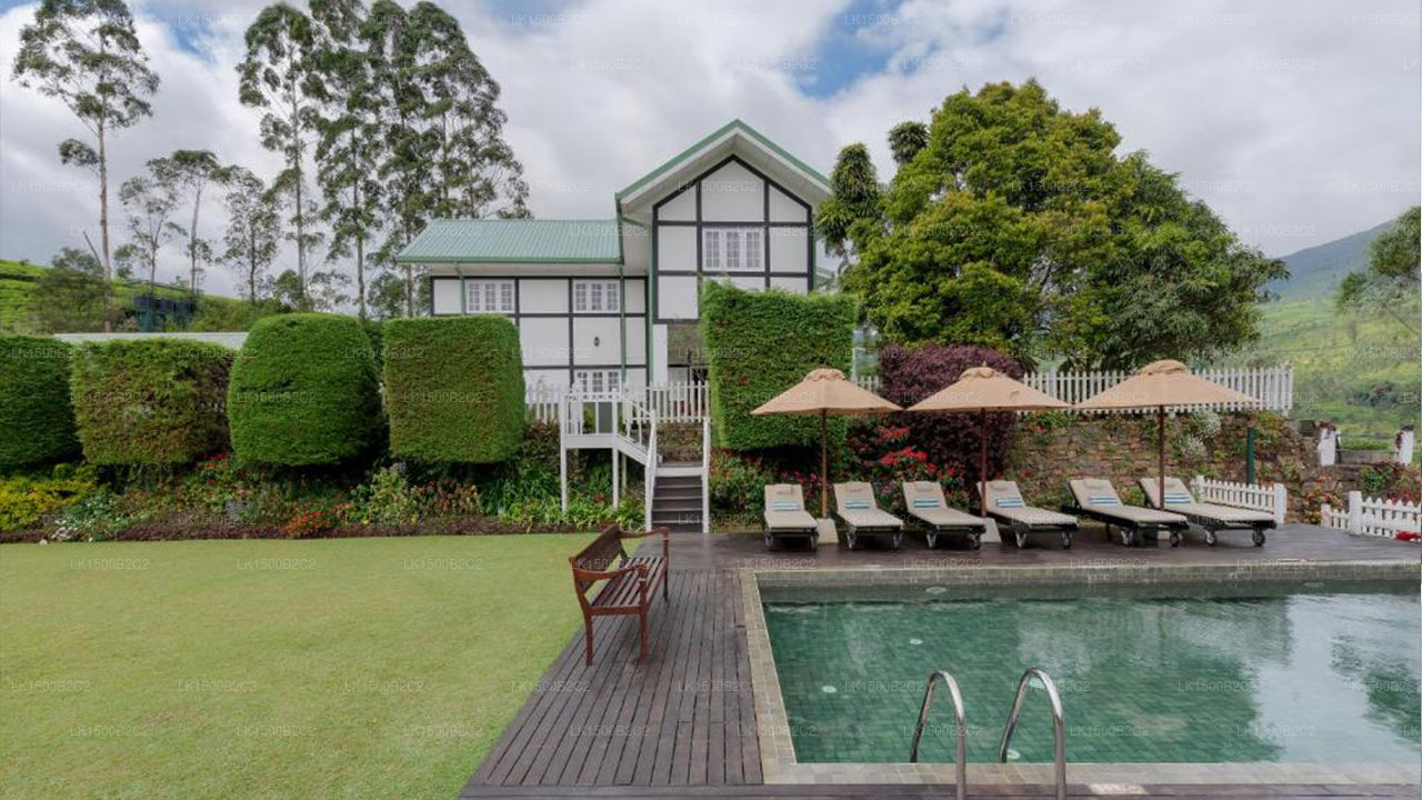 Amaya Langdale, Nuwara Eliya