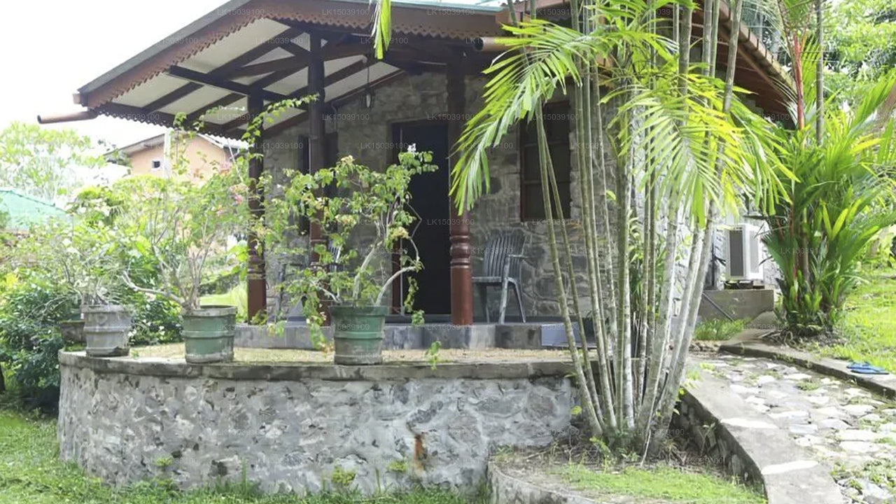 Field View Holiday Resort Hotel, Colombo