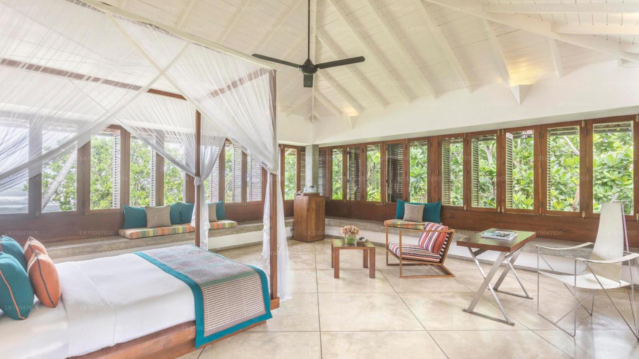 The Frangipani Tree, Talpe