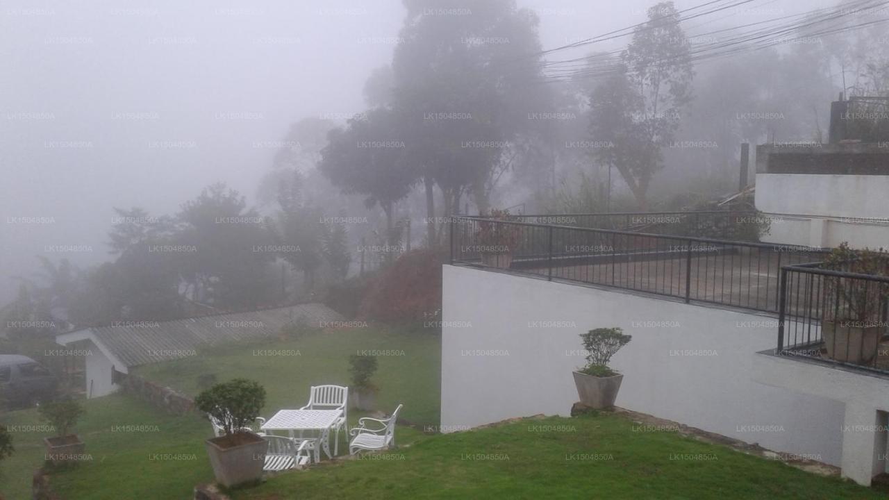 Hotel Alta Vista, Ella