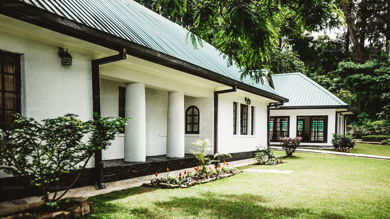 Thotalagala Tea Plantation Bungalow, Haputale