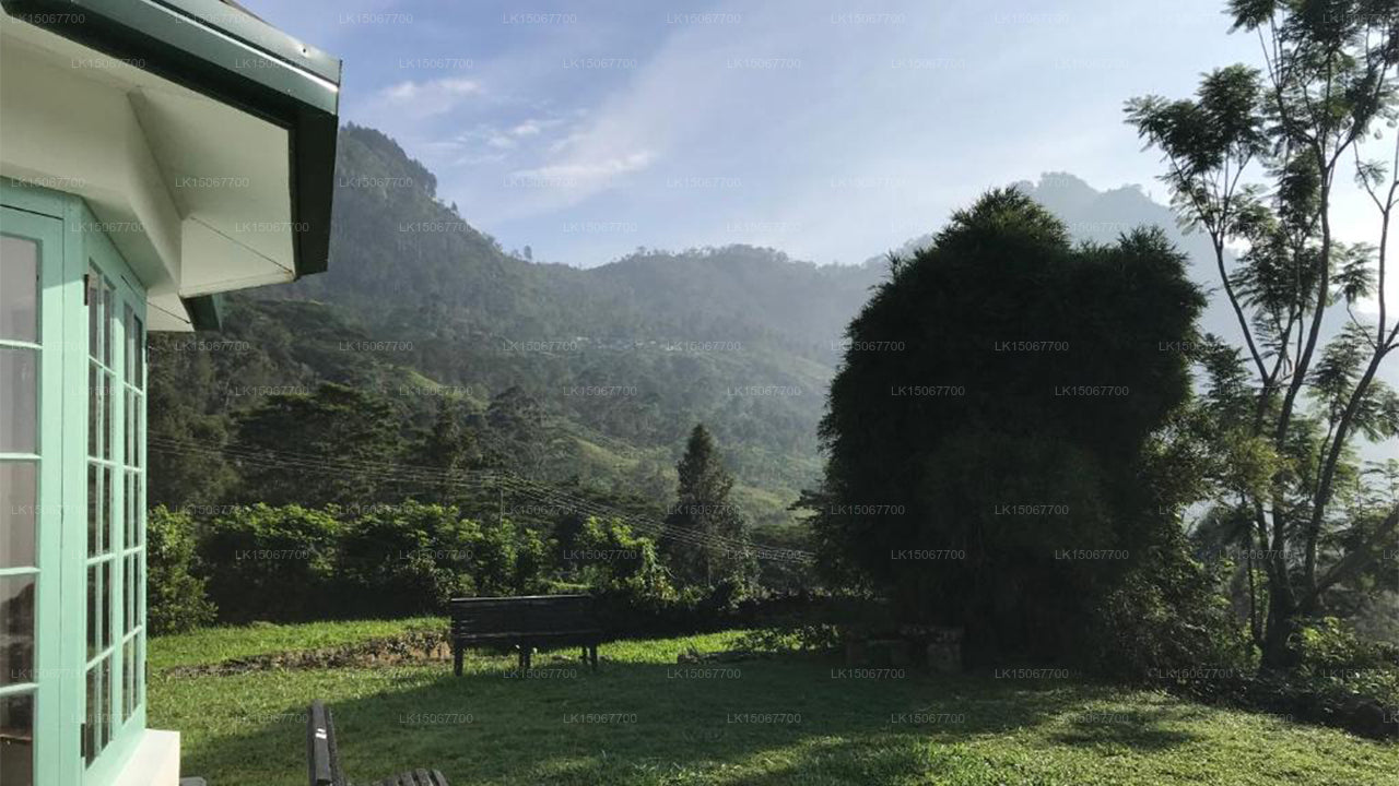 ميهيدوم بياسا، هالدومولا