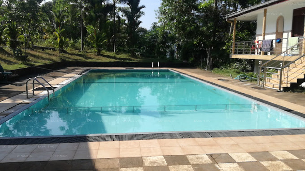 Kitulgala Holiday Resort, Kitulgala