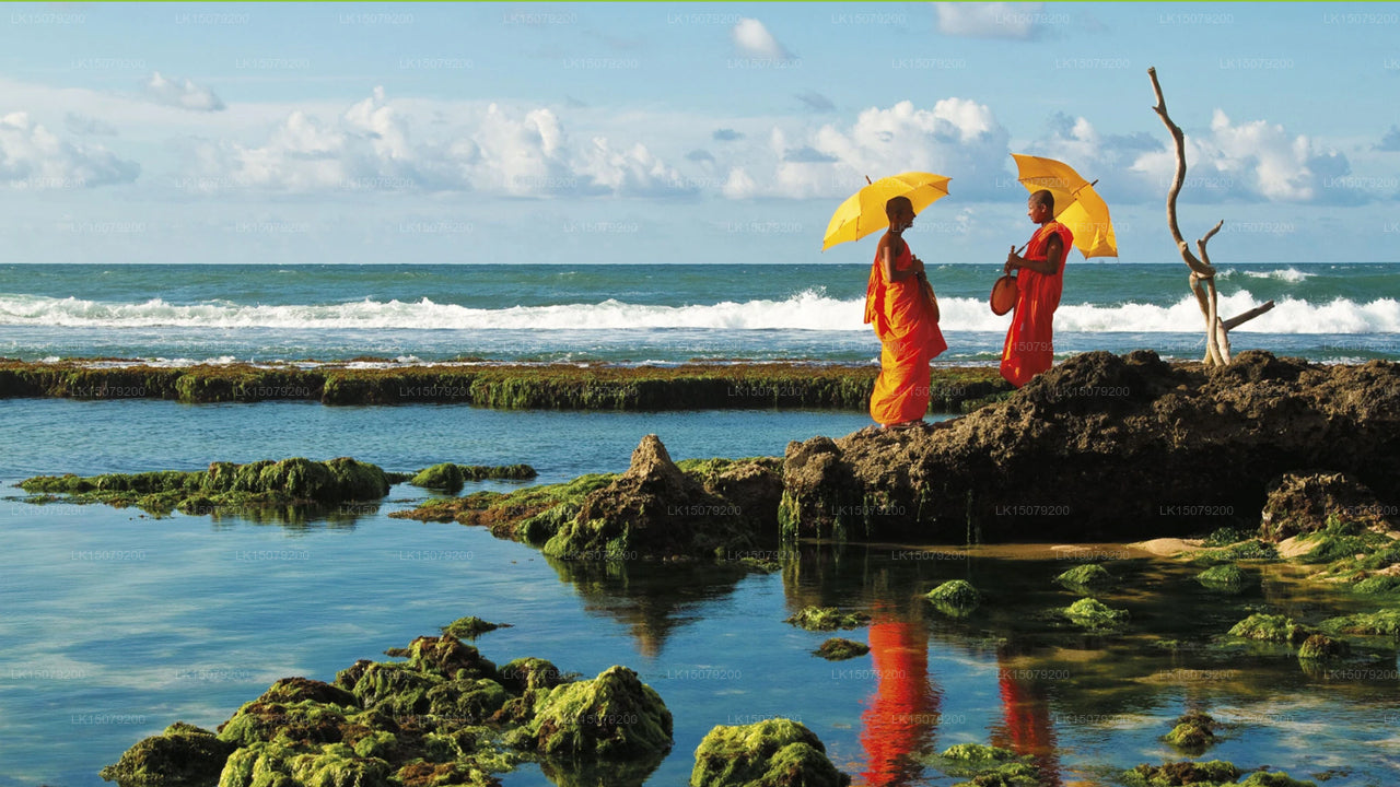 Hotel Ayurveda Paragon, Talpe