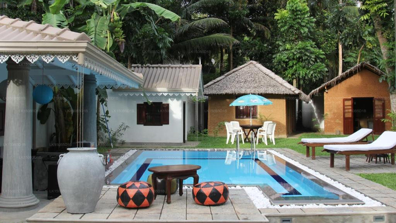 Villa Lotus At, Hikkaduwa