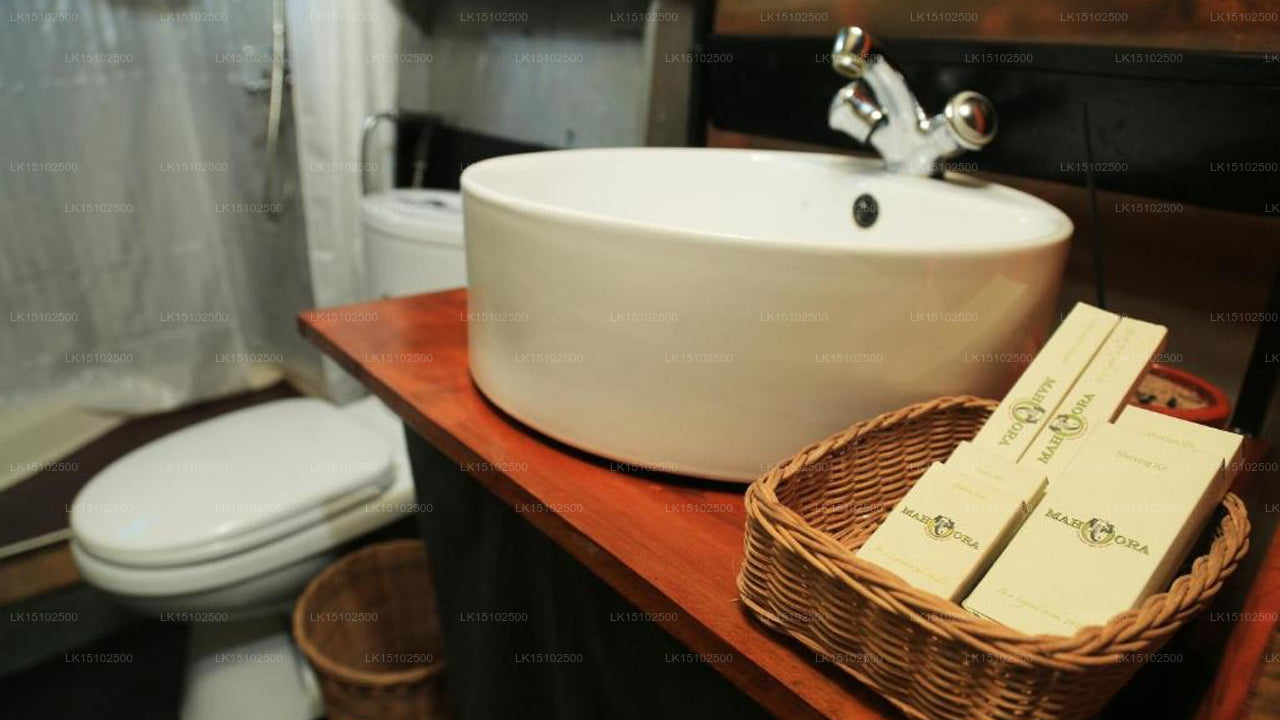 Mahoora Safari Camping, Wilpattu