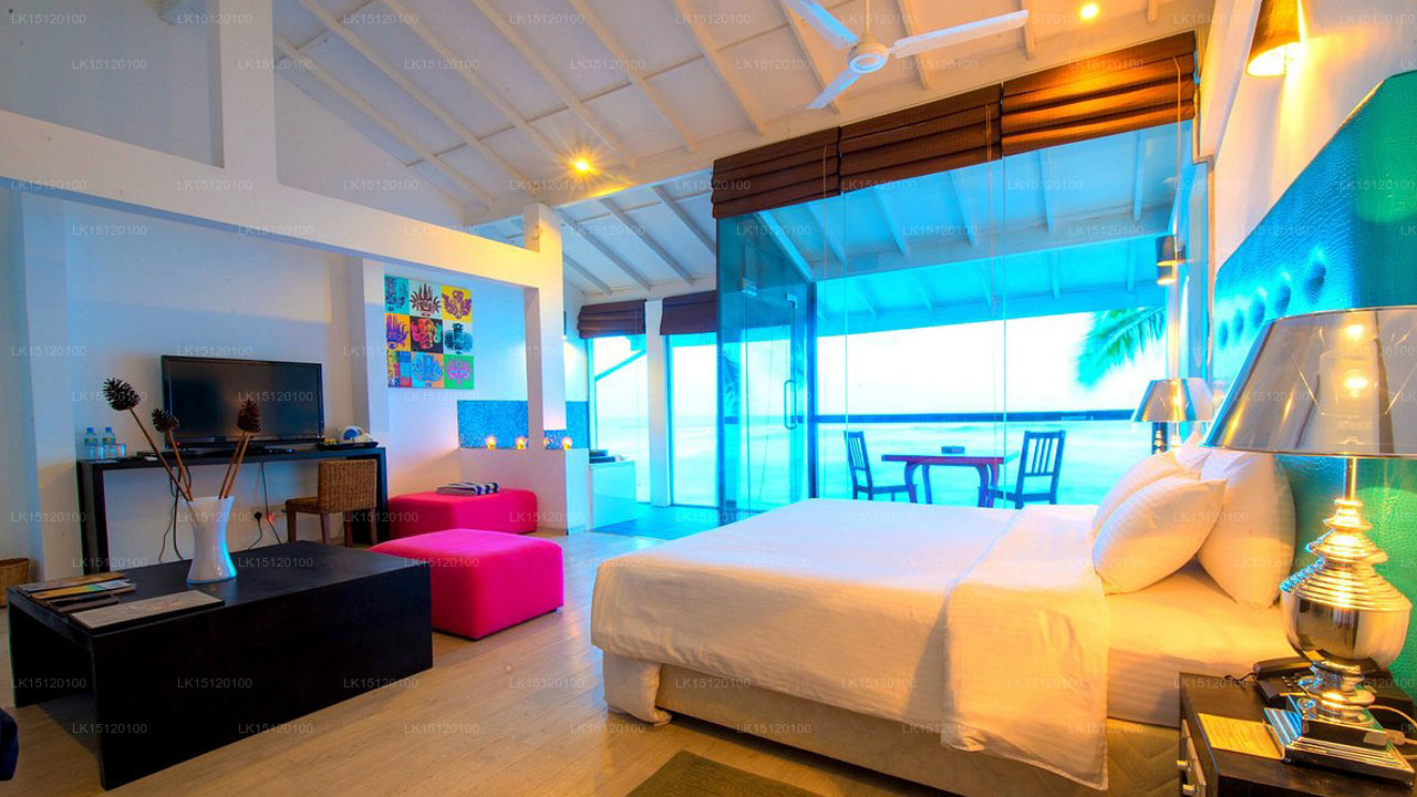 Cantaloupe Aqua, Thalpe