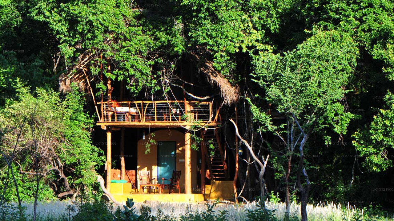 Back of Beyond - Belihul Oya