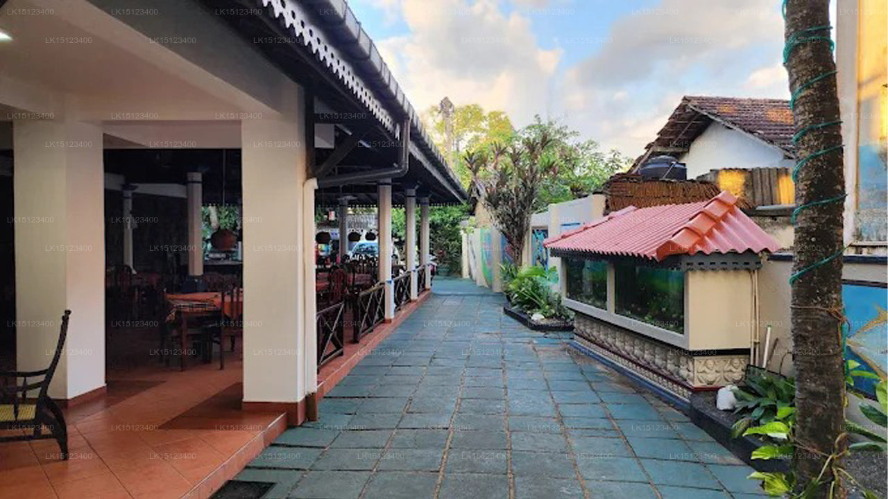 New Imperial Hotel, Hikkaduwa