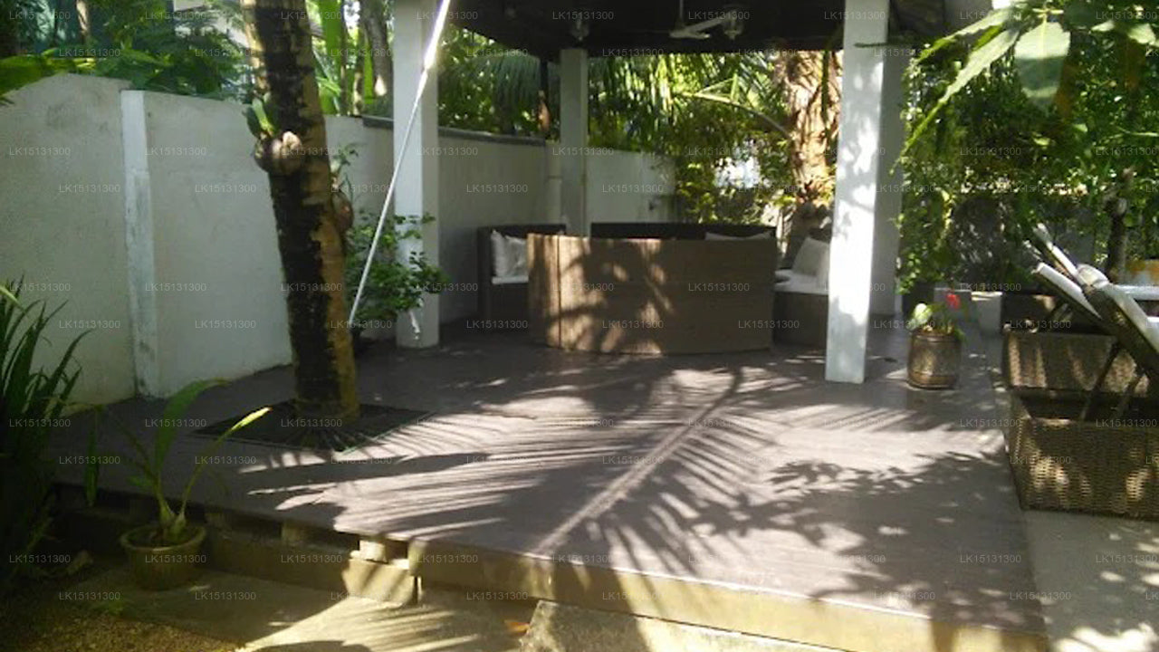 Paradise Halbarawa, Colombo