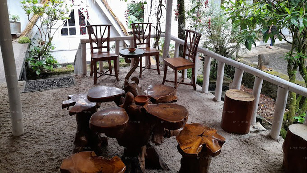 King Fern Bungalow, Nuwara eliya