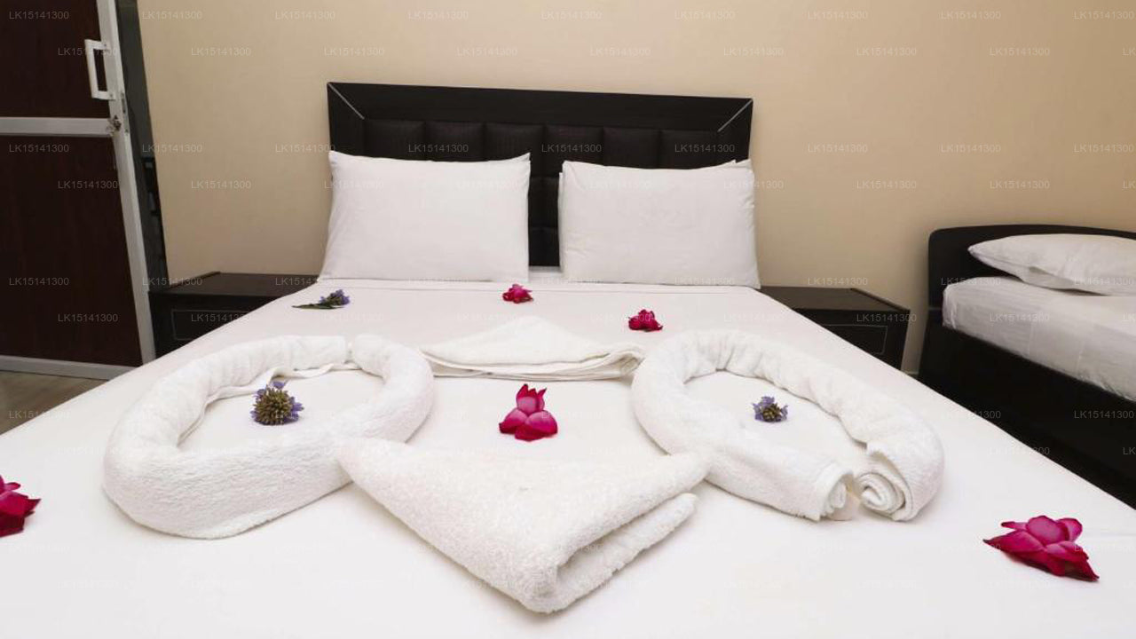 Peacock Residence, Anuradhapura